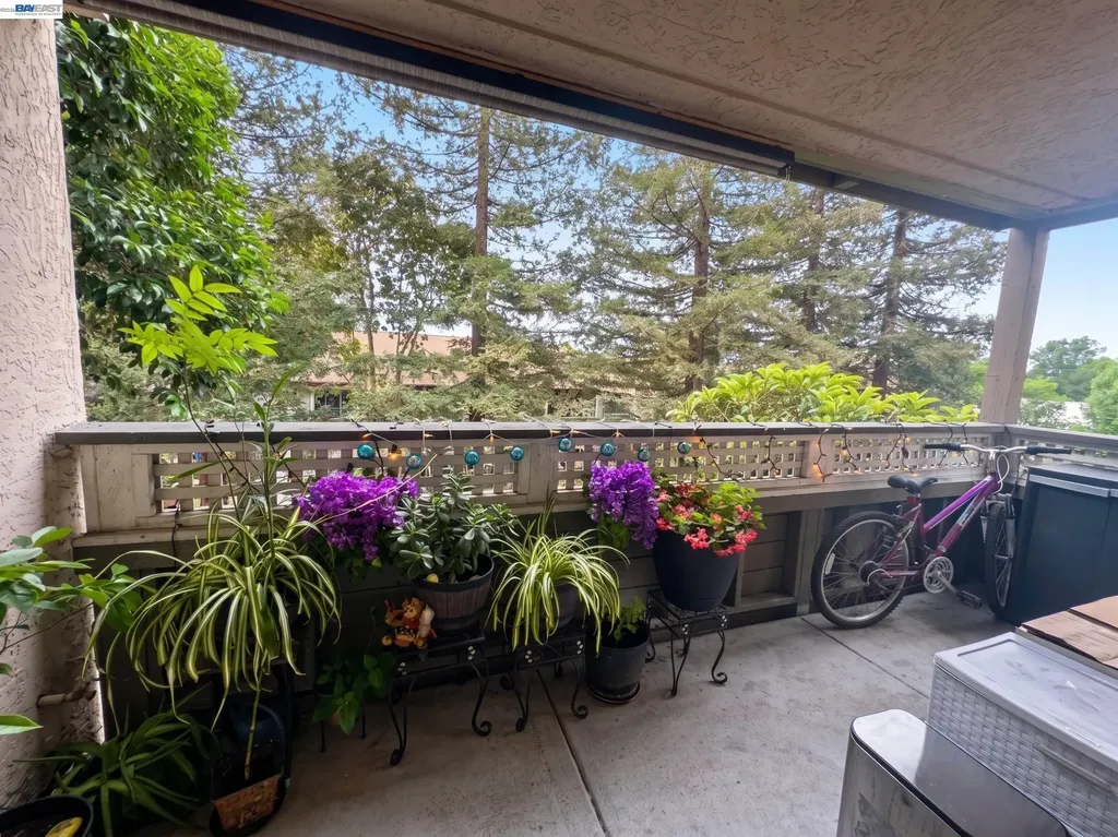 29599 Vanderbilt Street Hayward CA 94544