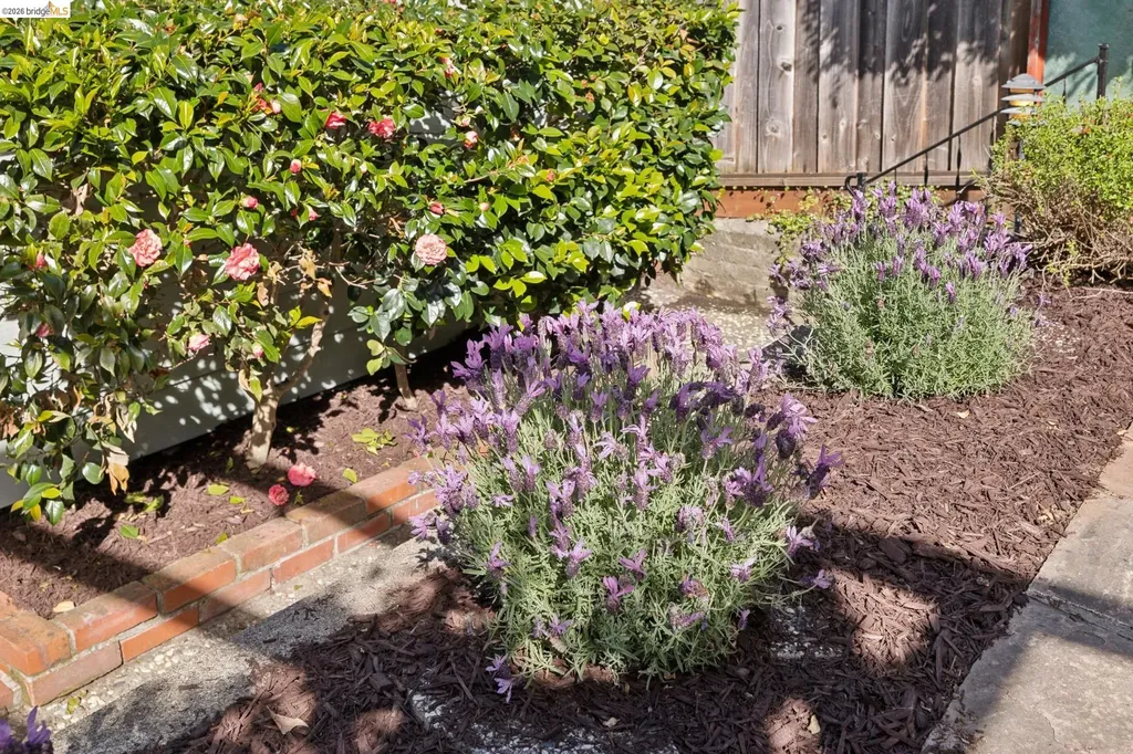 37 Kenyon Avenue Kensington CA 94708
