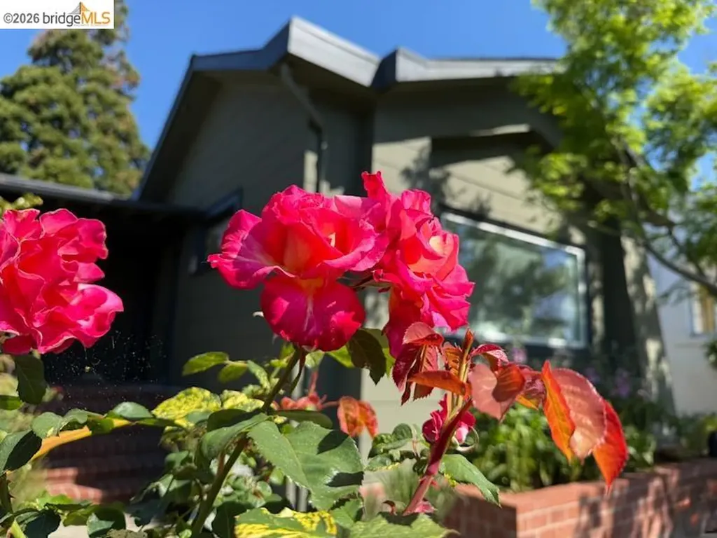 1233 Carleton Street Berkeley CA 94702