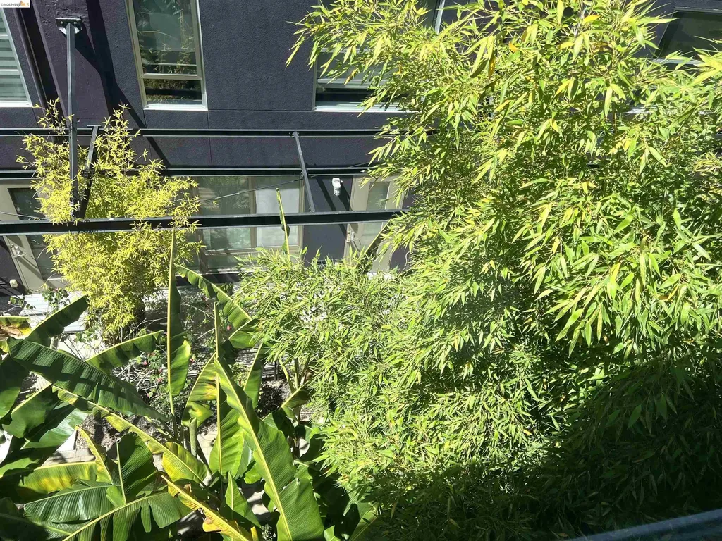 1253 Pine Street Oakland CA 94607