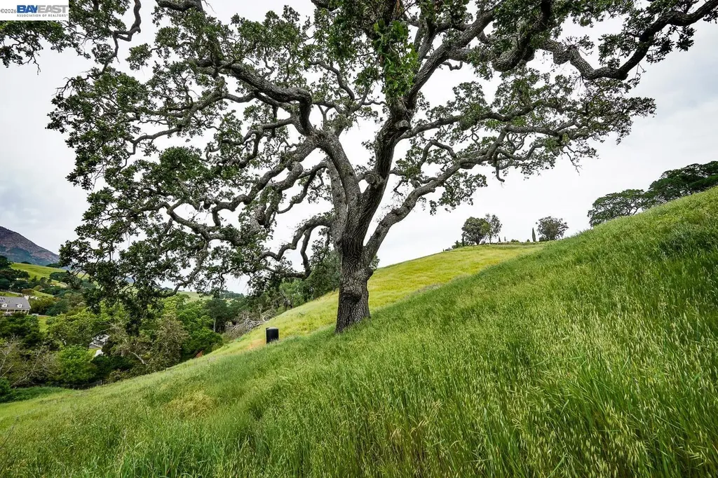 6115 Morgan Territory Road Clayton CA 94517
