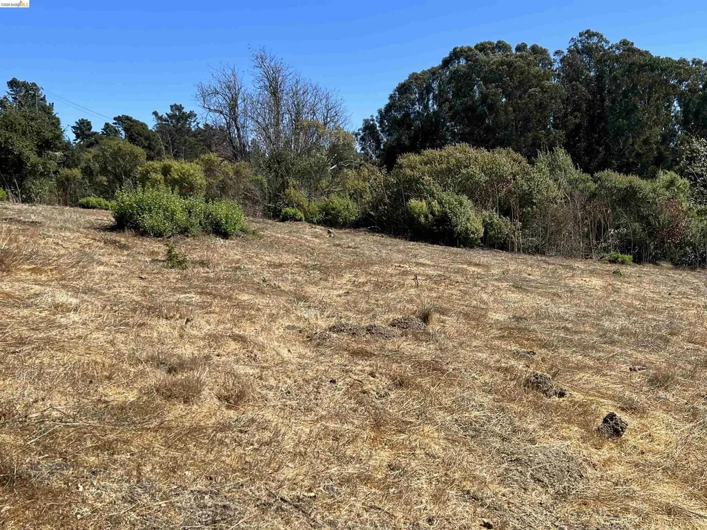 14381 Skyline Boulevard Oakland CA 94619