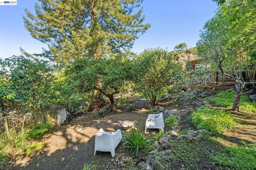 491 Vincente Avenue Berkeley CA 94707