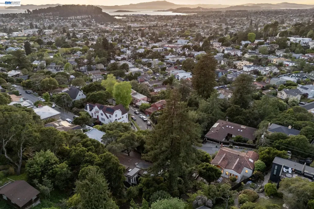 491 Vincente Avenue Berkeley CA 94707