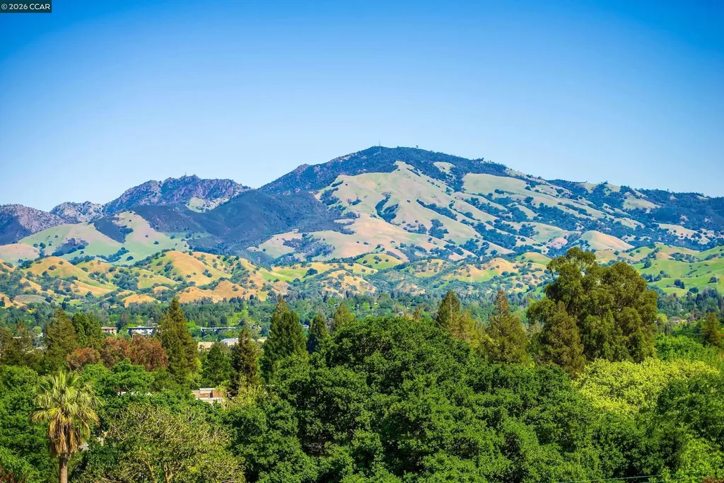 11 Dale Court Lafayette CA 94595