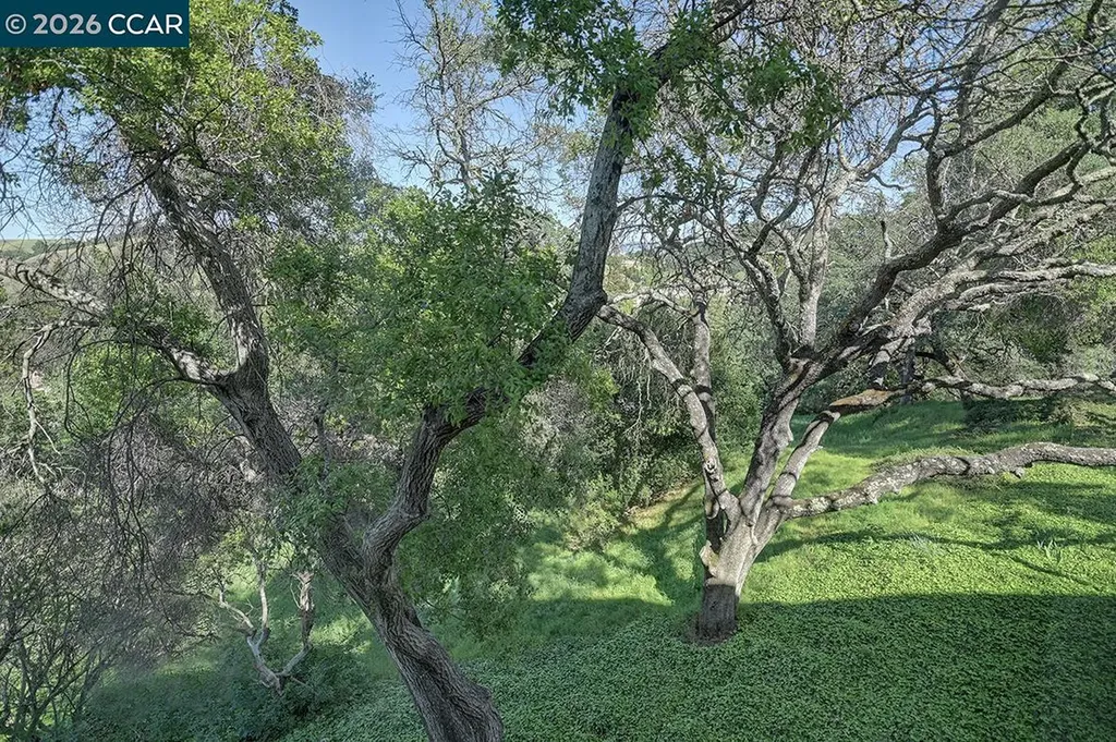 3711 Terra Granada Drive Walnut Creek CA 94595