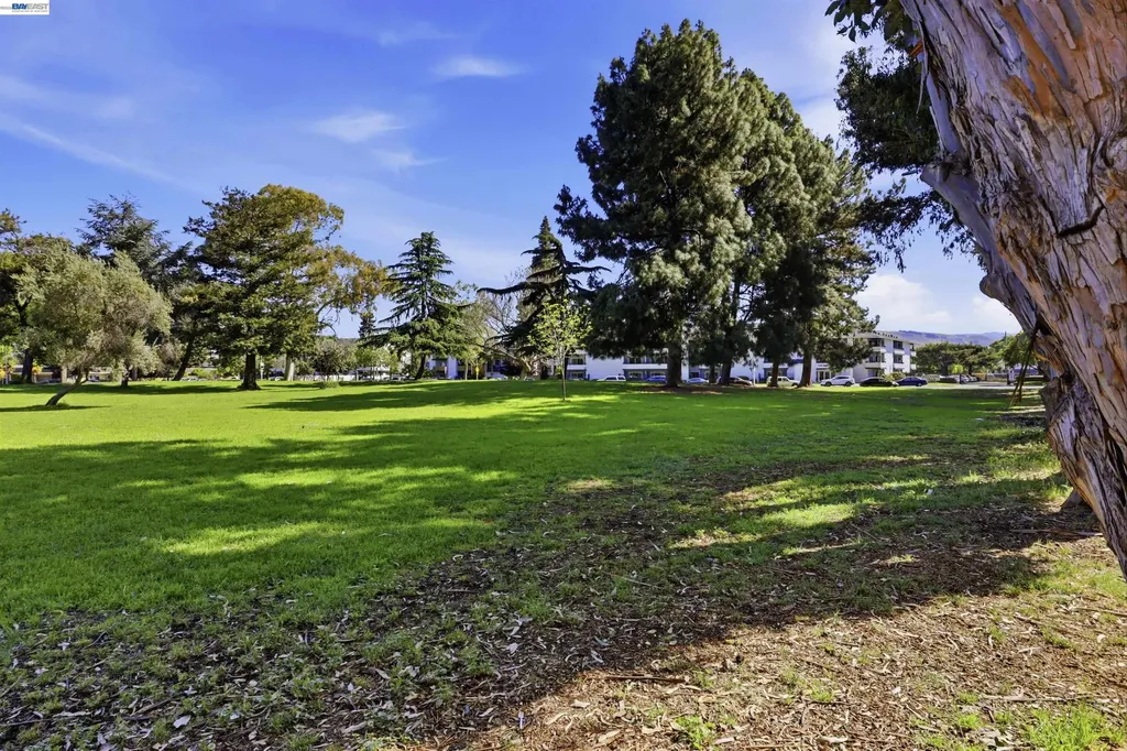 27505 Tampa Avenue Hayward CA 94544