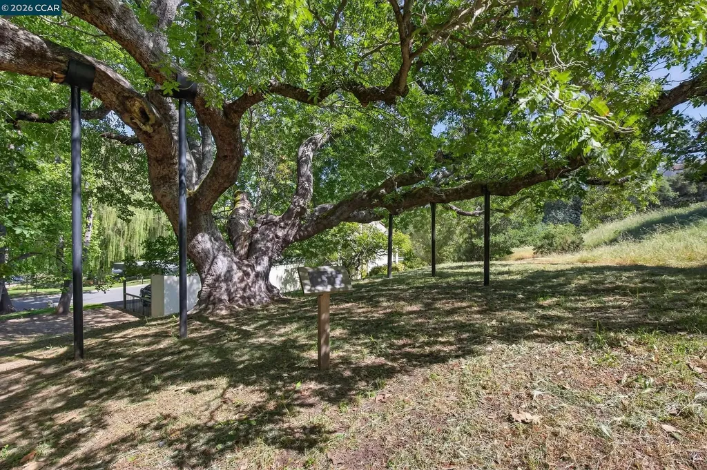 1621 Ptarmigan Drive Walnut Creek CA 94595