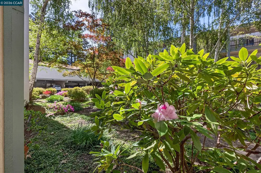 1621 Ptarmigan Drive Walnut Creek CA 94595