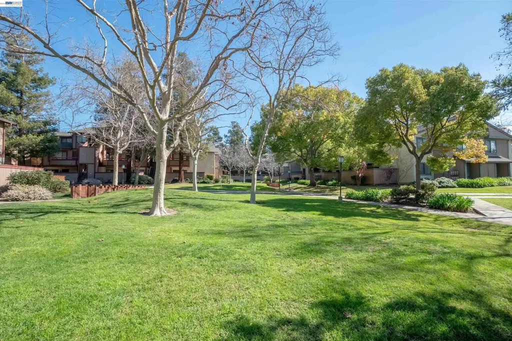 277 Hackamore Common Fremont CA 94539