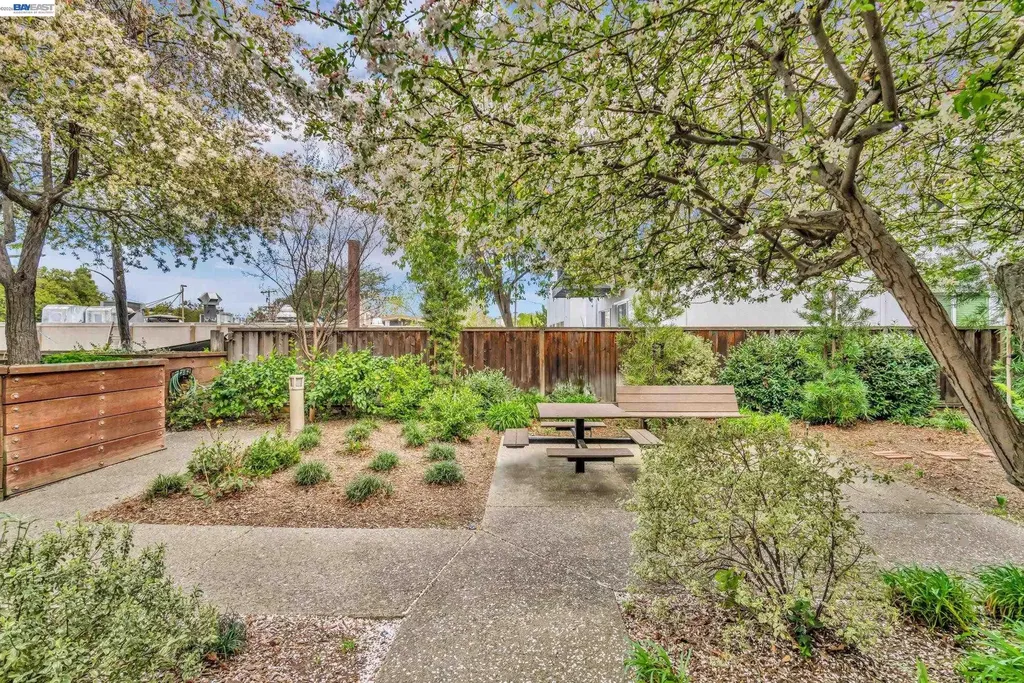1201 Alta Vista Drive Walnut Creek CA 94596