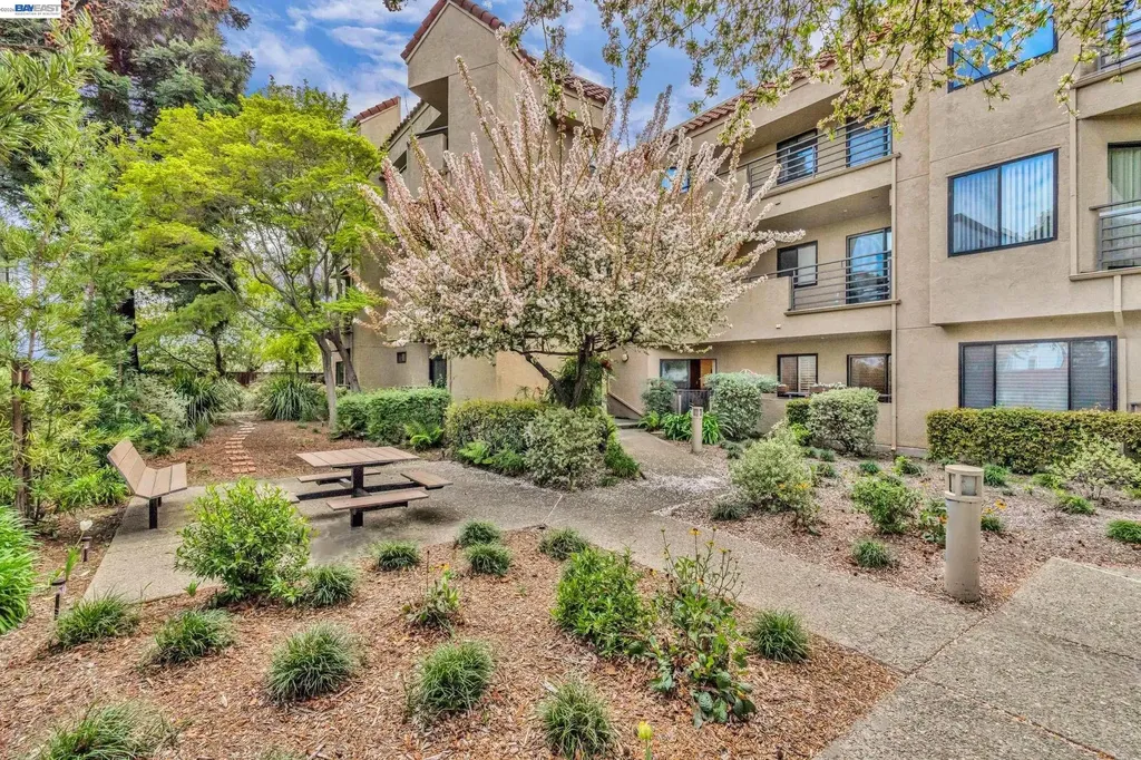 1201 Alta Vista Drive Walnut Creek CA 94596