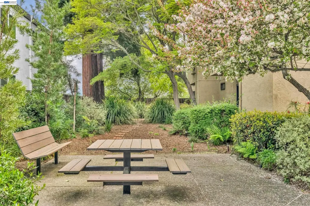 1201 Alta Vista Drive Walnut Creek CA 94596