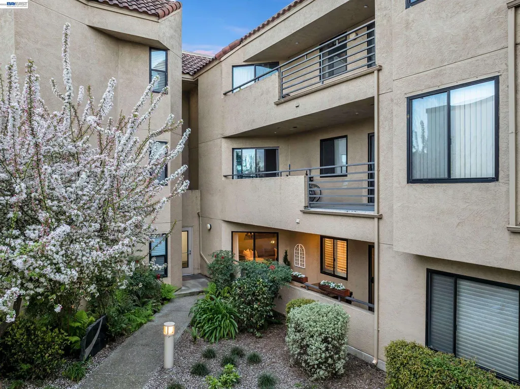 1201 Alta Vista Drive Walnut Creek CA 94596