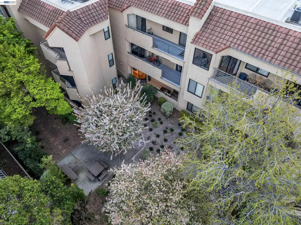 1201 Alta Vista Drive Walnut Creek CA 94596