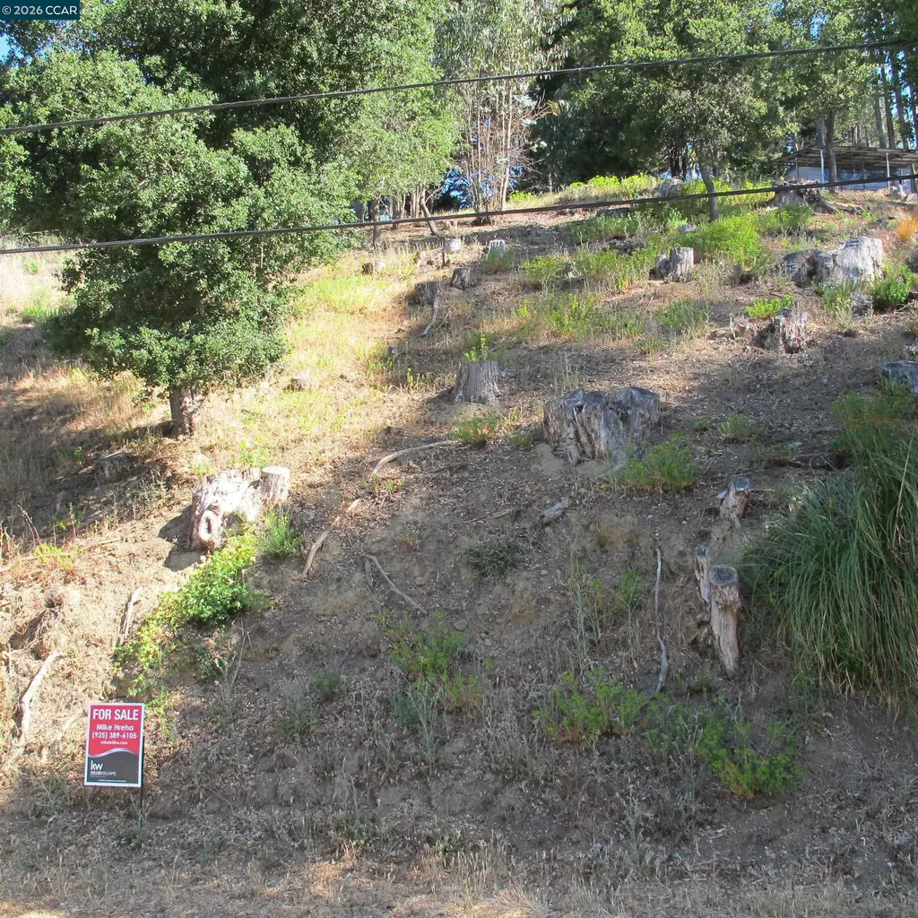 0000 Woodrow Drive Oakland CA 94611