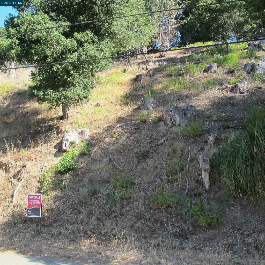 0000 Woodrow Drive Oakland CA 94611