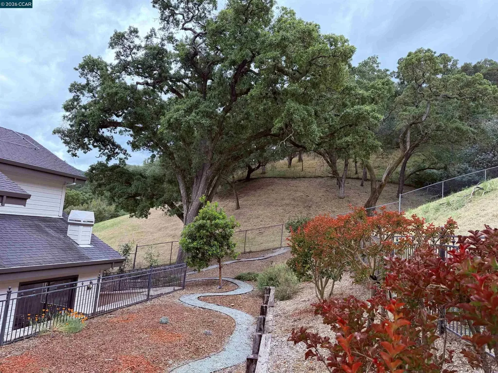 58 Saddle Road Walnut Creek CA 94595