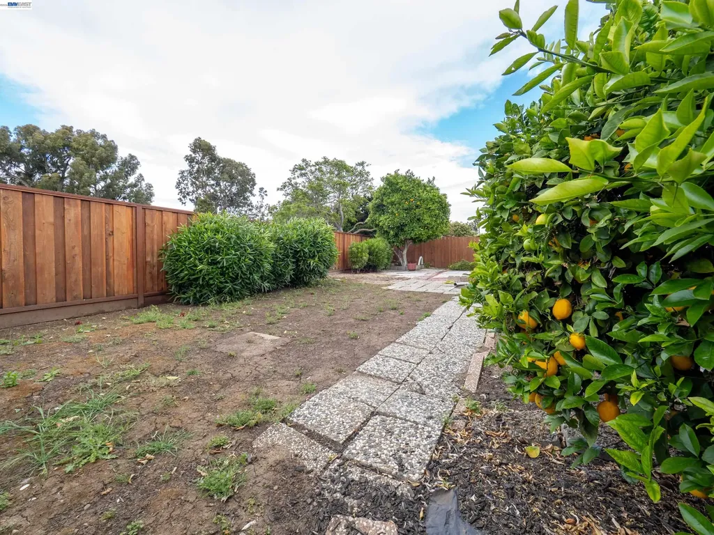 26447 Mocine Avenue Hayward CA 94544