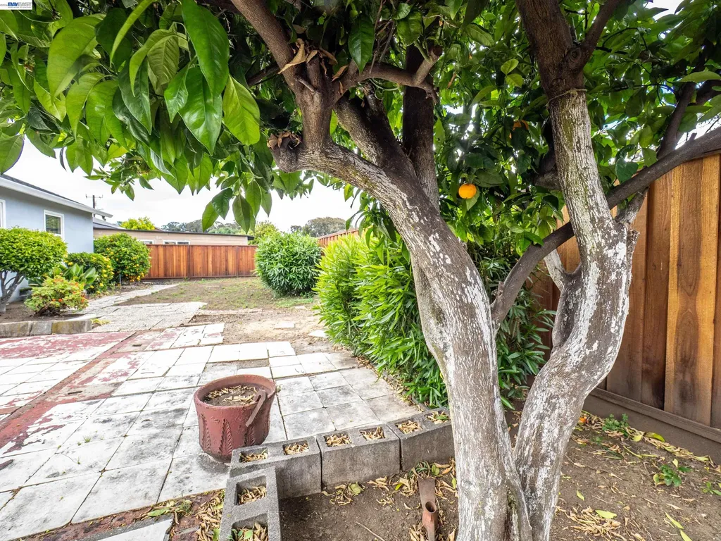 26447 Mocine Avenue Hayward CA 94544