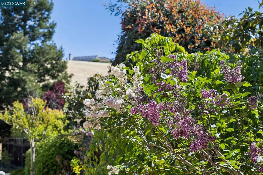 680 Quail Crest Drive Walnut Creek CA 94598