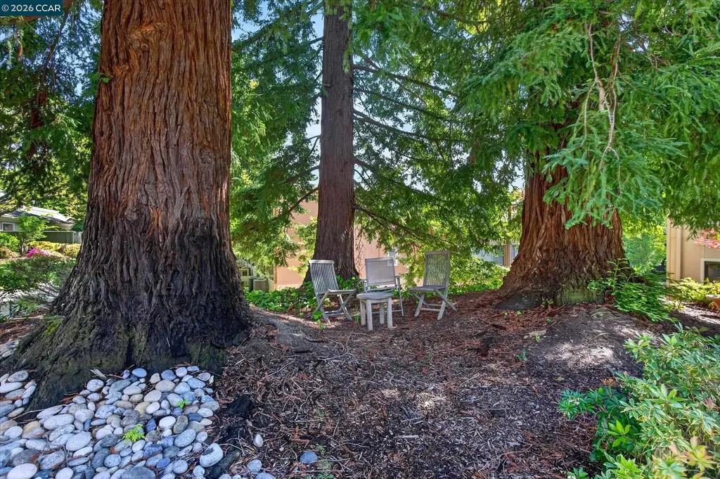 3101 Golden Rain Road Walnut Creek CA 94595