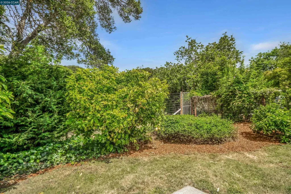 2319 Collins Avenue Pinole CA 94564