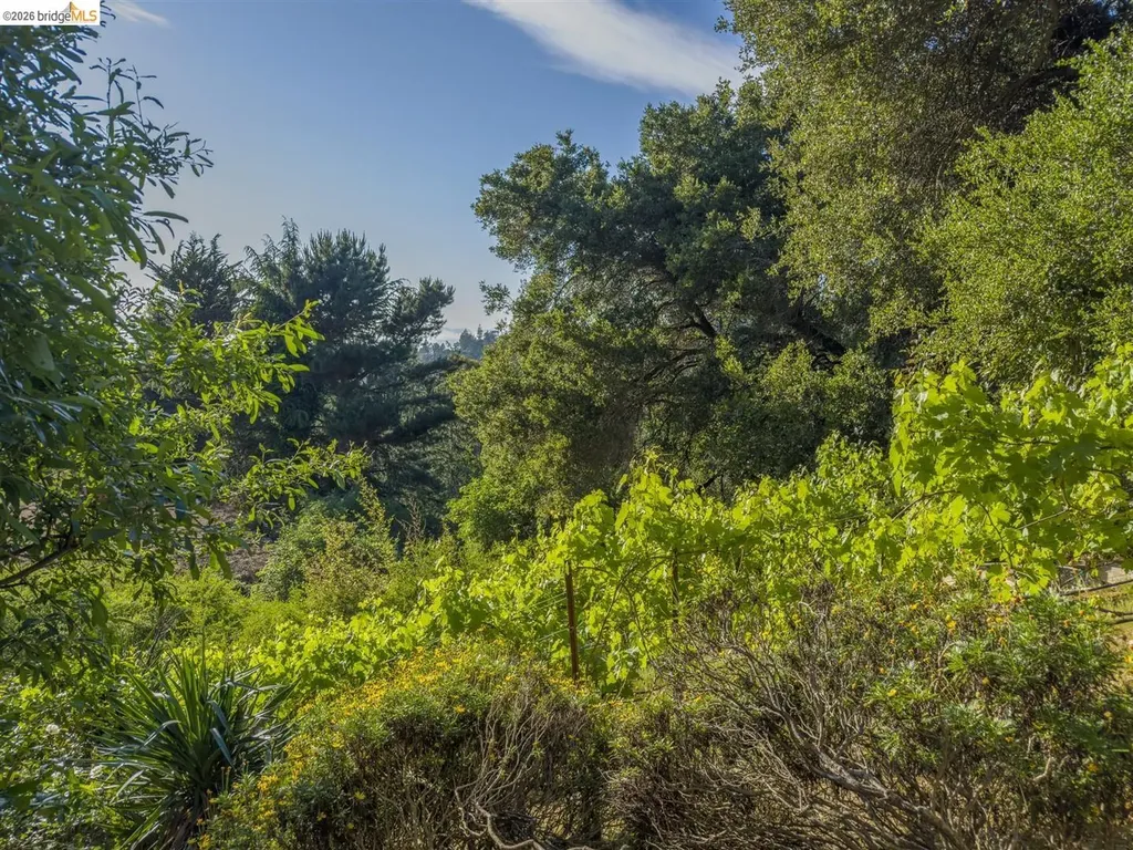 6741 Snake Road Oakland CA 94611