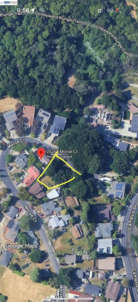 Morse Avenue Hayward CA 94542
