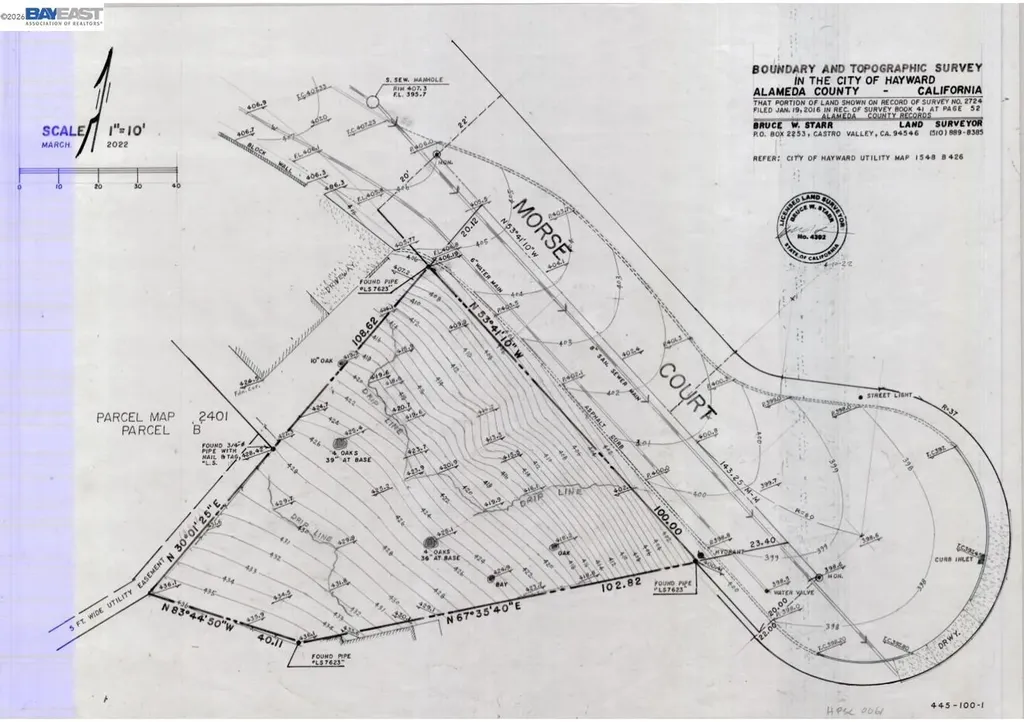 Morse Avenue Hayward CA 94542