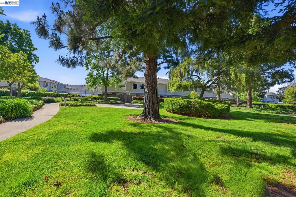 4011 Lana Terrace Fremont CA 94536