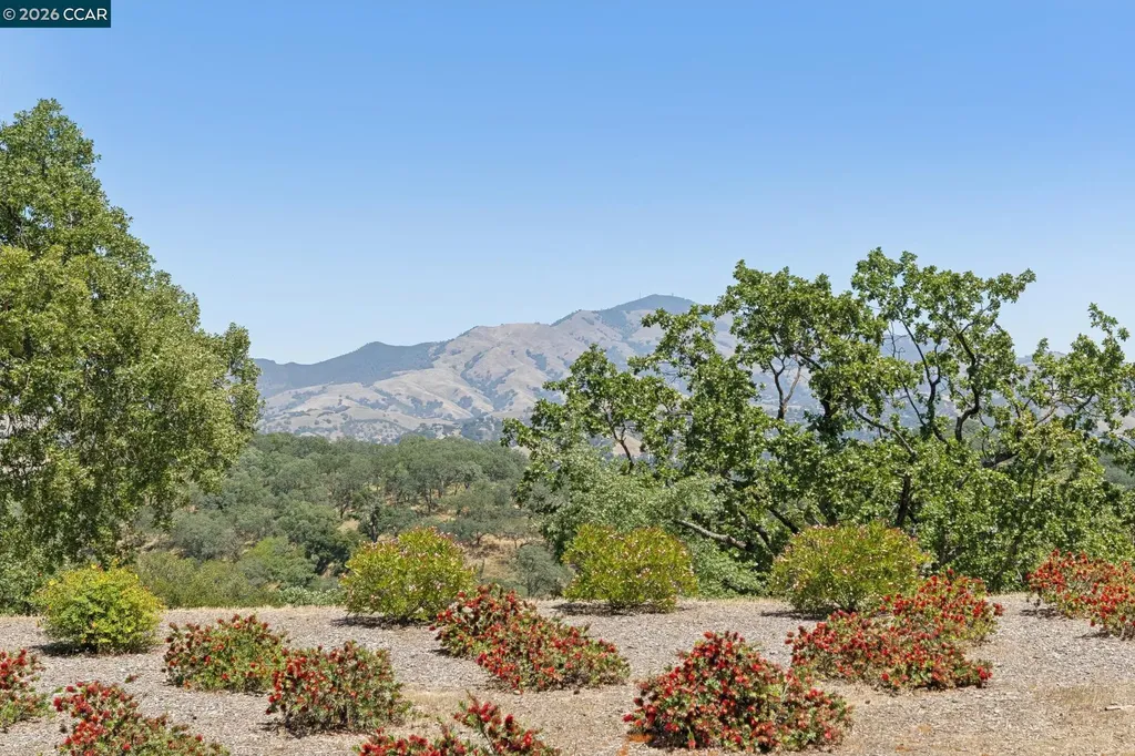 568 High Eagle Court Walnut Creek CA 94595