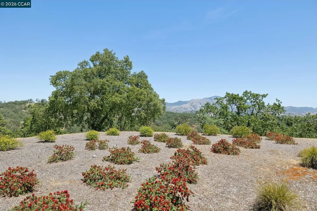 568 High Eagle Court Walnut Creek CA 94595