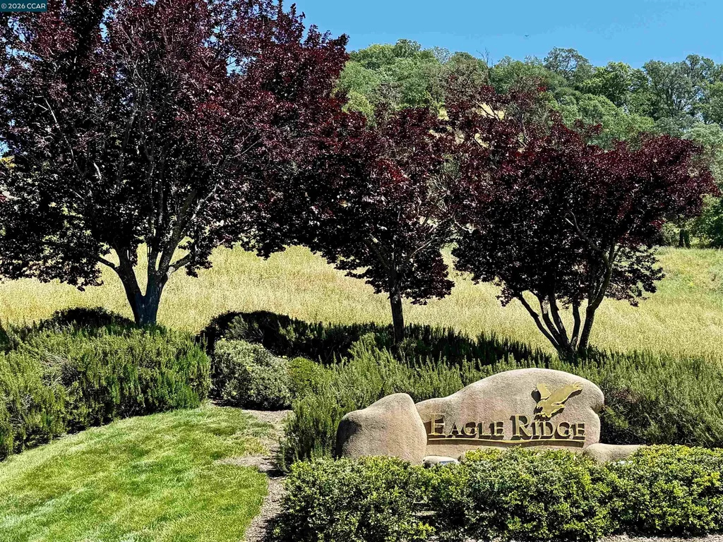 568 High Eagle Court Walnut Creek CA 94595