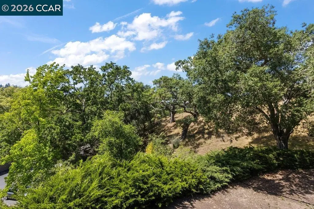 2065 Cactus Court Walnut Creek CA 94595