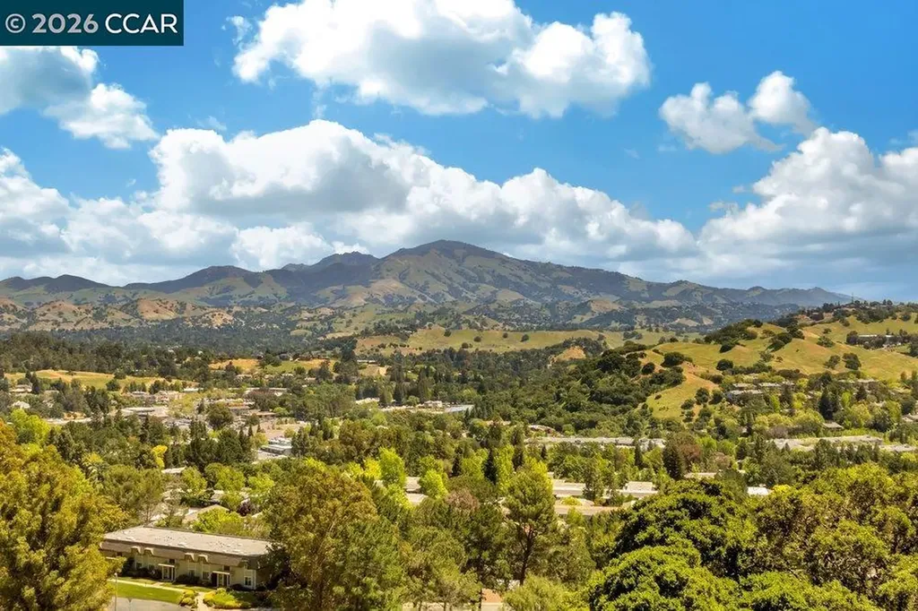2065 Cactus Court Walnut Creek CA 94595