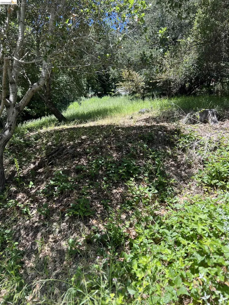 Beauforest Drive Oakland CA 94603
