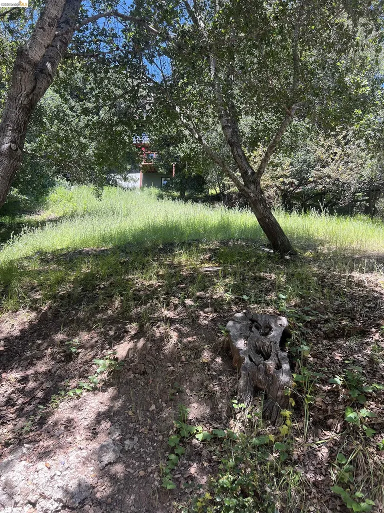 Beauforest Drive Oakland CA 94603