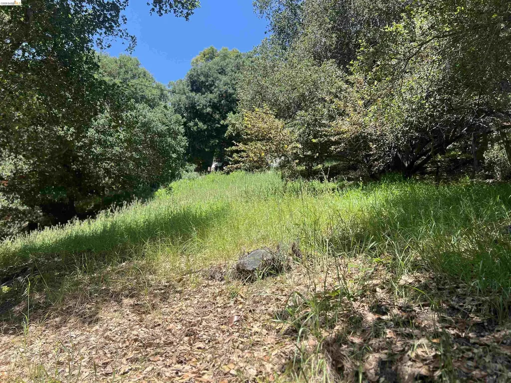 Beauforest Drive Oakland CA 94603