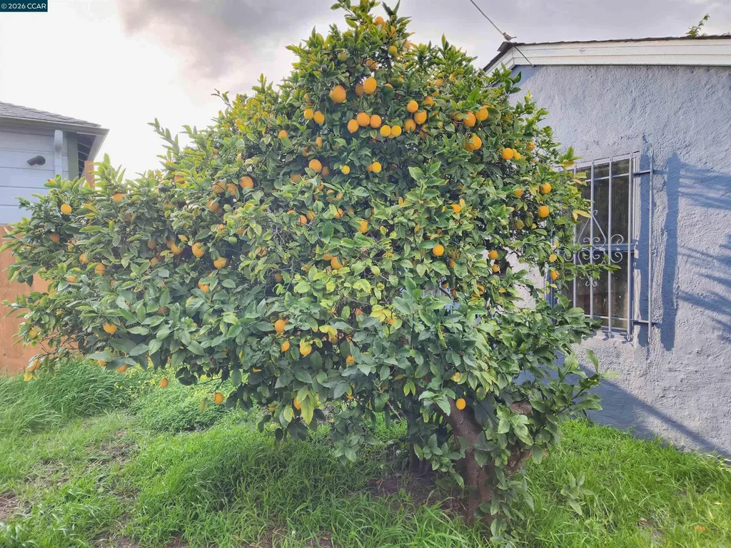 2387 Humphrey Avenue Richmond CA 94804