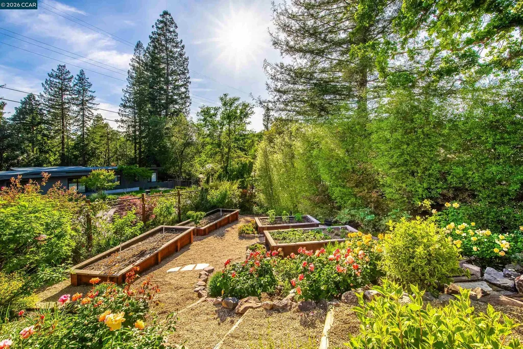 3926 Peardale Drive Lafayette CA 94549