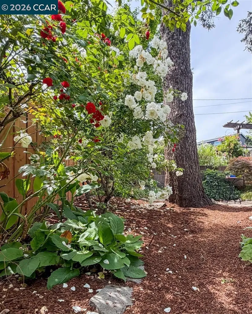 3754 Enos Avenue Oakland CA 94619