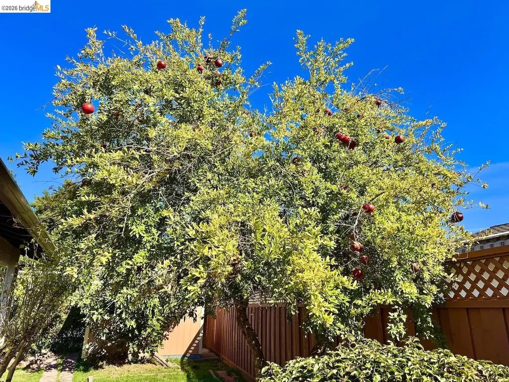 3115 Marvelle Lane Concord CA 94518