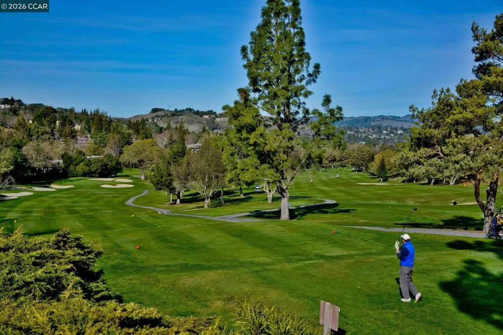 1225 Singingwood Court Walnut Creek CA 94595
