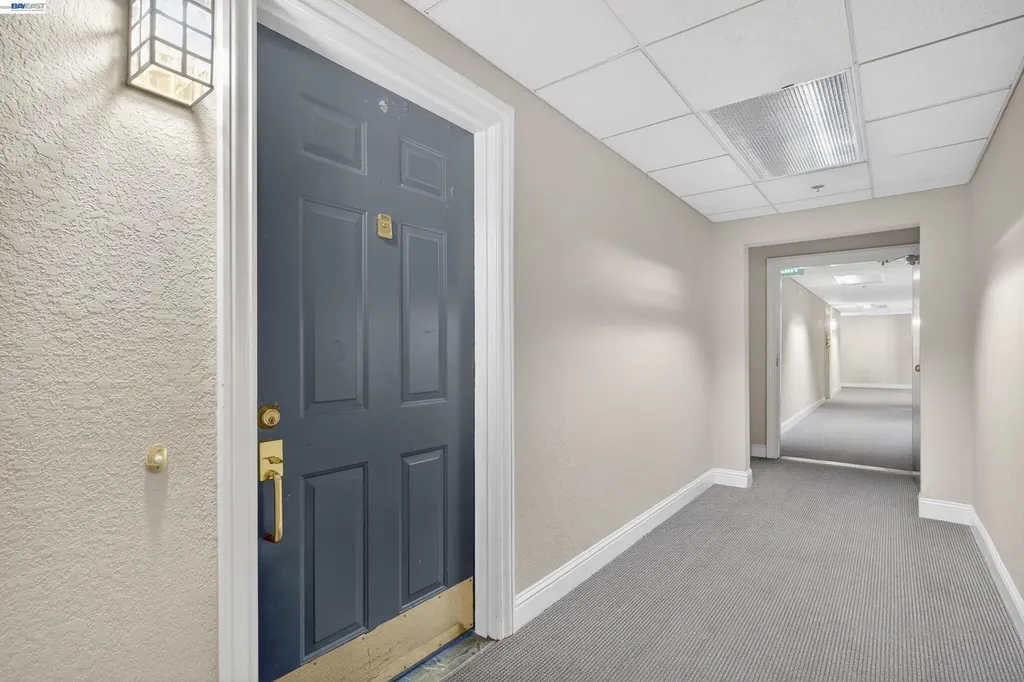 535 Pierce Street Albany CA 94706