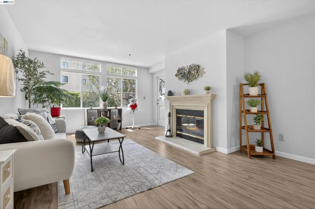 535 Pierce Street Albany CA 94706