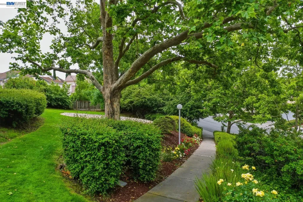 44873 Lynx Drive Fremont CA 94539