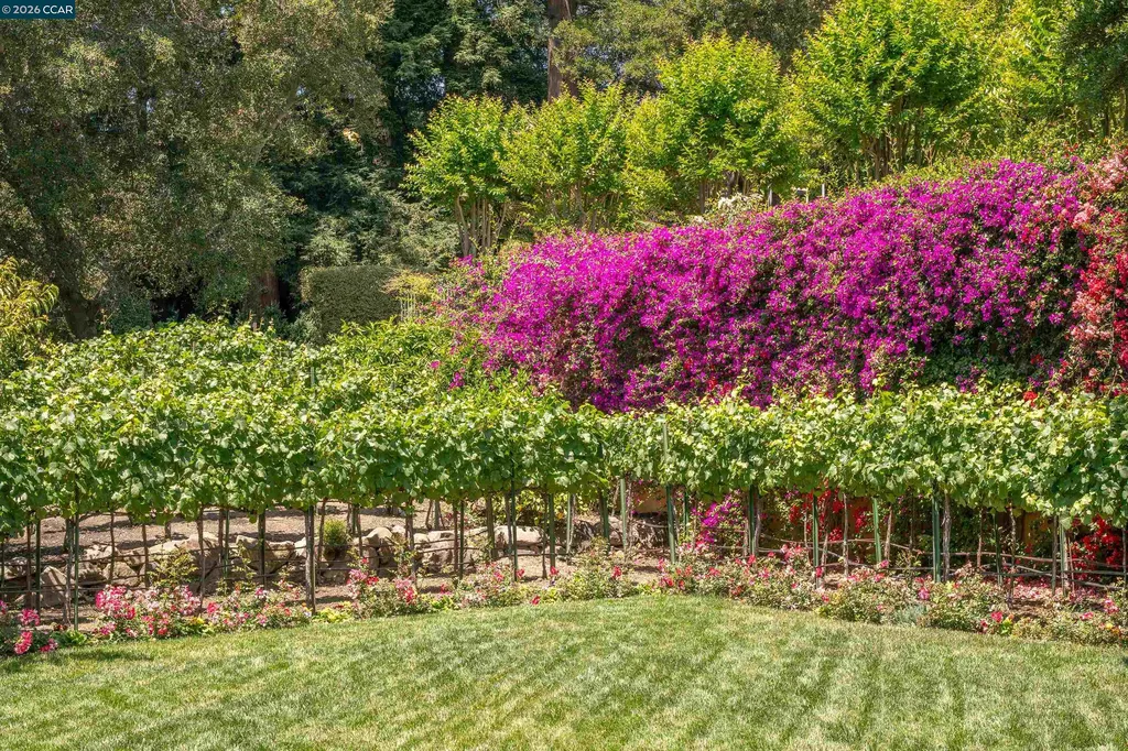 280 Indian Road Piedmont CA 94610
