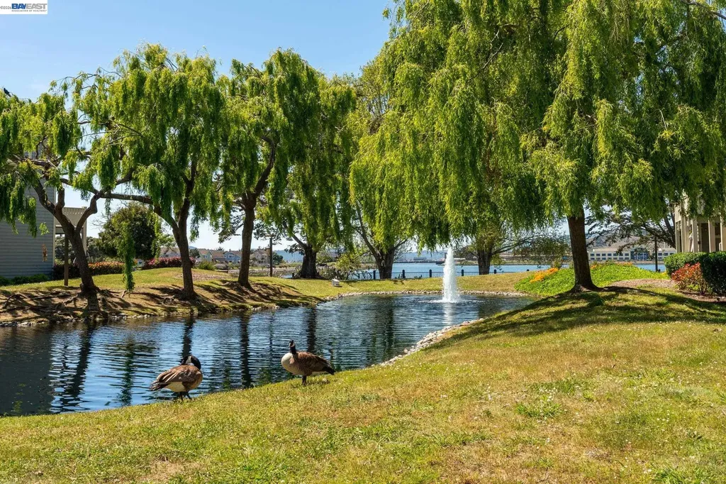 197 Lakeshore Court Richmond CA 94804