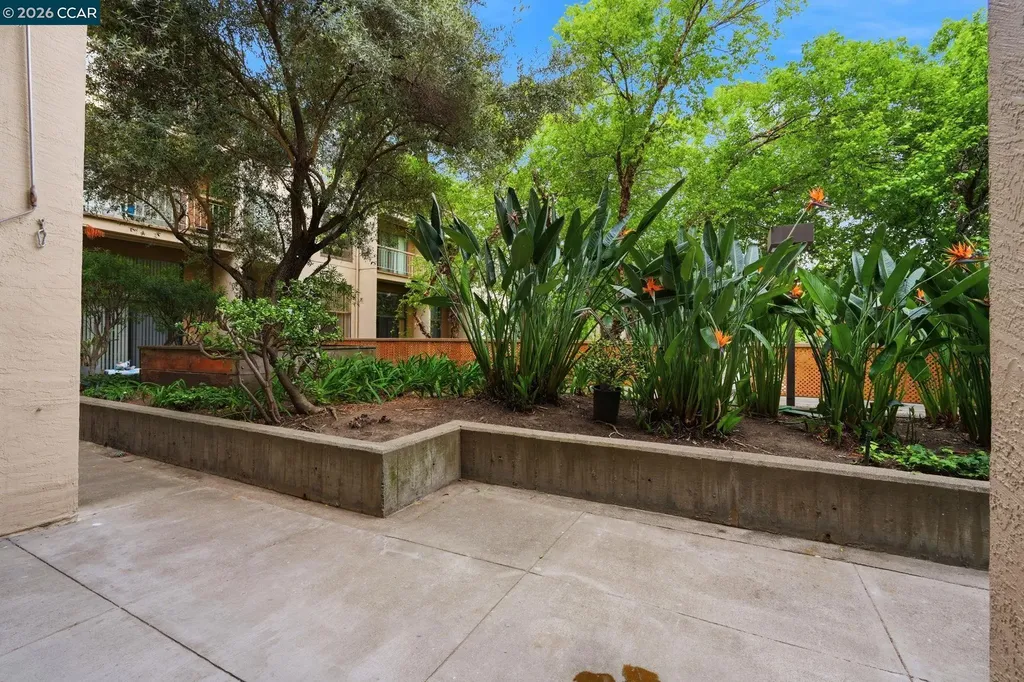 460 Civic Drive Walnut Creek CA 94596